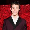 Shawn Mendes Chart-Topping Pop Heartthrob