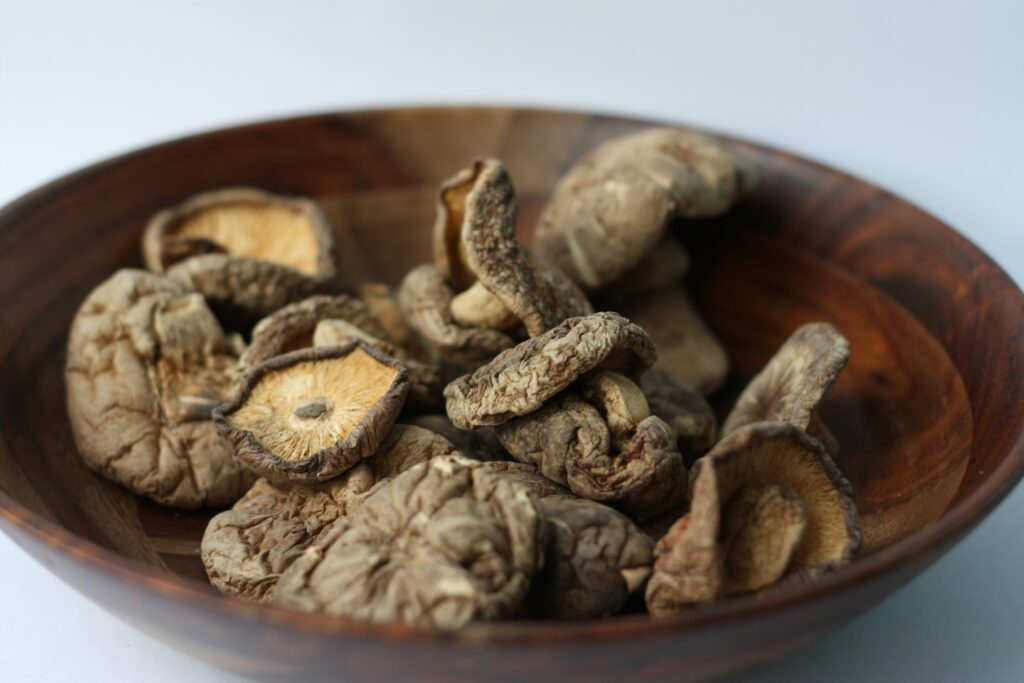 medicinal mushrooms